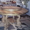 Изготовление и продажа деревянных столов,лестниц - Изображение #4, Объявление #1302550
