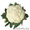 Семена цветной капусты VANZA F1 / ВАНЗА F1 фирмы Китано #1296803