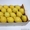 Продаем лимоны из Испании