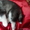 Черно-белые,голубоглазые щенки Сибирской Хаски от HORD HEAT BAFFI  - Изображение #2, Объявление #1347084