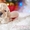 Американского кокер спаниеля замечательные щенки - Изображение #6, Объявление #1355658
