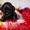 Американского кокер спаниеля замечательные щенки - Изображение #2, Объявление #1355658