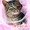 Мишель-роскошная тигровая кошка в дар #1365451