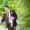 Свадебный фотограф на свадьбу венчание в Минске - Изображение #3, Объявление #1367551