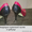 Ремонт обуви Любой сложности Минск п.Ждановичи - Изображение #3, Объявление #1410128