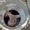 Септик. Новейшая автономная канализация в частный дом - Изображение #3, Объявление #1432653