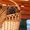 Шарпея щенки красного и махагон окраса в г.Минске. - Изображение #1, Объявление #1443269