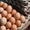 Куриное Яйцо оптом со склада в Минске #1443551