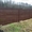 Красивый забор из штакетника минск #1471538