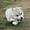 Шикарные щенки Сибирских Хаски различного окраса - Изображение #5, Объявление #1488895
