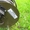 Удлинитель на катушке (однофазный, 220v) 25 метров - Изображение #1, Объявление #1493078