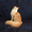Котёнок Мейн-кун - Изображение #5, Объявление #1498147