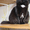 Виски - шикарная черная пушистая кошка в дар! - Изображение #3, Объявление #1496064
