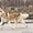 питомник предлагает щенков сибирской хаски  - Изображение #2, Объявление #1512386