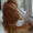 Очаровательный котик Мейн-кун - Изображение #8, Объявление #1514699