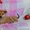 МИНСК. Очаровательные щеночки-колобочки в дар! - Изображение #3, Объявление #1507855