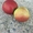 Белорусские яблоки оптом - Изображение #3, Объявление #1545908