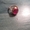 Золотое кольцо с рубином из СССР #1549940