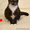 Кошечка Дашка хочет домой - Изображение #3, Объявление #1559533