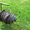 Удлинитель на металлической катушке, однофазный (220в) длиной 25 метров - Изображение #7, Объявление #1561795