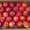 Овощи и фрукты из Испании и Марокко от производителя. - Изображение #4, Объявление #1562566