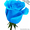 Голубые розы купить в Минске #1576002