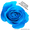 Голубые розы купить в Минске - Изображение #3, Объявление #1576002