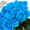 Голубые розы купить в Минске - Изображение #5, Объявление #1576002