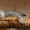 Нава - тигруша с кругленькой мордашкой - Изображение #2, Объявление #1576638