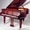 Продаю германский концертный рояль August Forster - модель 215 #1581147
