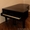 Продаю германский концертный рояль August Forster - модель 215 - Изображение #2, Объявление #1581147