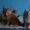 Породистые котята Мейн-кун, окрас красный мрамор на серебре. - Изображение #1, Объявление #1599730