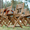 Аренда/прокат столов, стульев, шатров и др оборудования для мероприятий - Изображение #10, Объявление #1597369