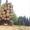 Лесовозный полуприцеп 13D с манипулятор 5.72 PALMS - Изображение #3, Объявление #1601258