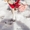 Юзик - пес компаньон в дар - Изображение #3, Объявление #1614910