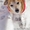 Юзик - пес компаньон в дар - Изображение #4, Объявление #1614910