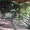 Дача-40 соток-3 уровня-гараж-баня-пруд 36 км от Мкад недорого - Изображение #5, Объявление #1617249