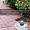 Укладка тротуарной плитки,  брусчатки обьем от 50 м2 в Касынь #1620793