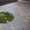 Укладка тротуарной плитки,  брусчатки обьем от 50 м2 в Шершуны #1620827