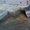 Ждановичи Укладка тротуарной плитки, брусчатки от 50м2 - Изображение #1, Объявление #1623438