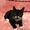 Замечательный черный котенок #1638080