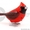 Интерактивная поющая птичка Сhippy Birds - Изображение #3, Объявление #1639939