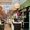 Гостиница и Кафе с постоянными арендаторами в городе-курорте Геленджик - Изображение #3, Объявление #1639196