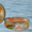 Рыбные консервы от производителя - Изображение #1, Объявление #1639689