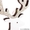 Деревянная фигурка с подсветкой Олененок 13-5-19,5 см - Изображение #4, Объявление #1642530