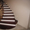 Изготовление лестниц по индивидуальным заказам - Изображение #1, Объявление #1644009