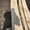 Доска дуба 55мм ширина раскрытия от 20 см Минск - Изображение #2, Объявление #1656102