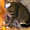 Люси – кошка с зелеными глазами в дар! - Изображение #4, Объявление #1662485