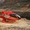 Вертолетная или самолетная экскурсия над Гранд Каньоном - Изображение #2, Объявление #1663418