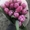 Букеты из тюльпанов Экстра класса к 8 марта, предзаказ - Изображение #3, Объявление #1673928